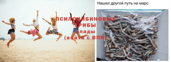 прущая мука Арсеньев