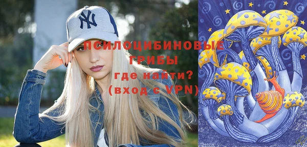 скорость Пересвет