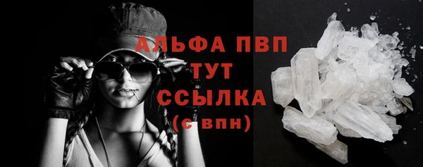 индика Пестово