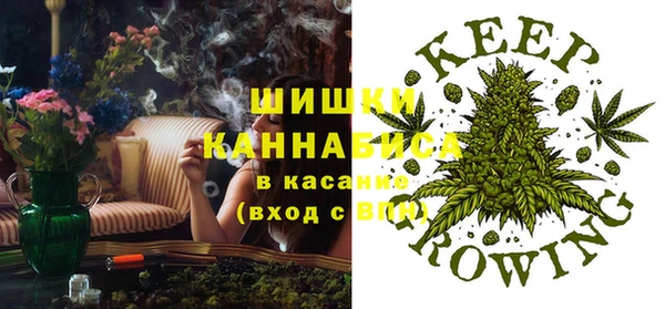 прущая мука Арсеньев
