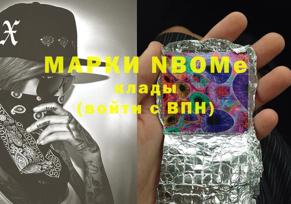 индика Пестово