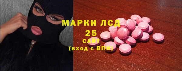 индика Пестово